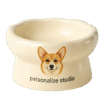 Custom Ceramic Mushroom Bowl