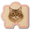 Patterned Doormat