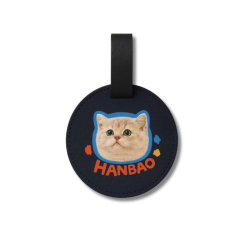 Custom Luggage/Bag Tags-Fabric/Nylon