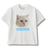 Customizable Premium Cotton T-Shirts