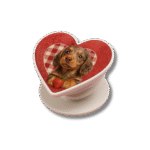 Custom Pet PopStocket