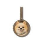 Custom Luggage/Bag Tags-Leather
