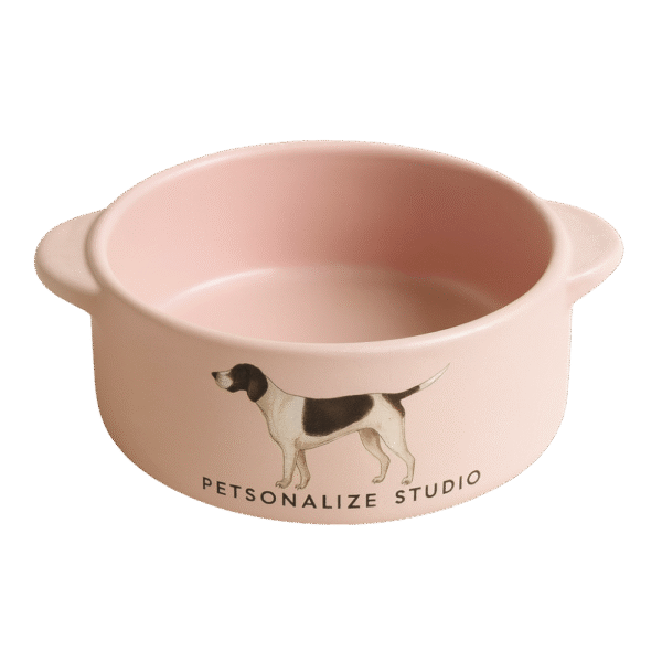 Custom Ceramic Mushroom Bowl