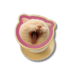 Custom Pet PopStocket