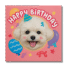 Custom Pet Portrait