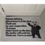 Entrance Doormat