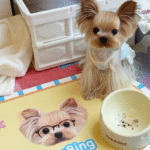 Tableware