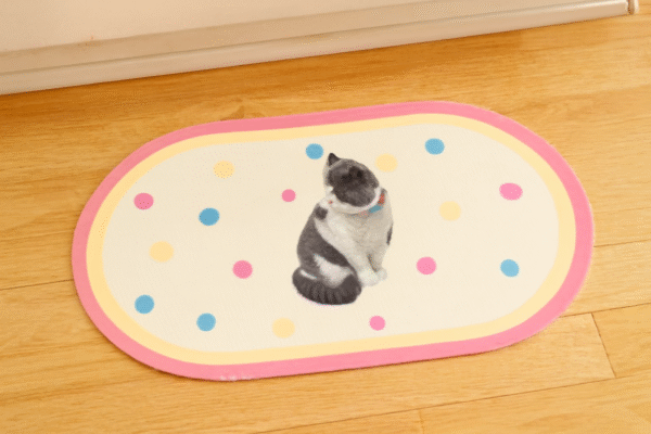 缤纷 Table mat